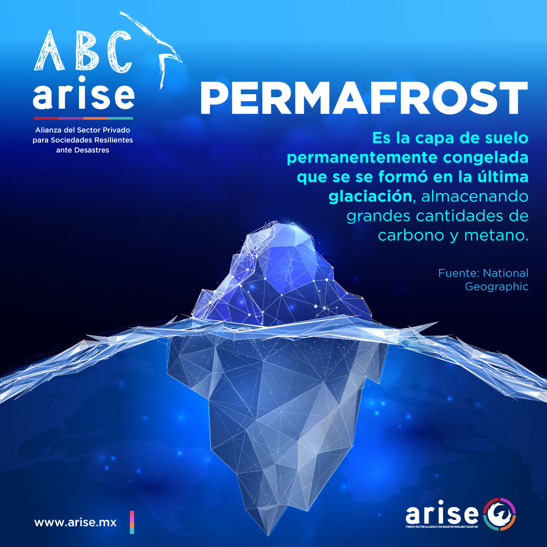 ABC ARISE – Un glosario para entender la gestión integral de riesgos