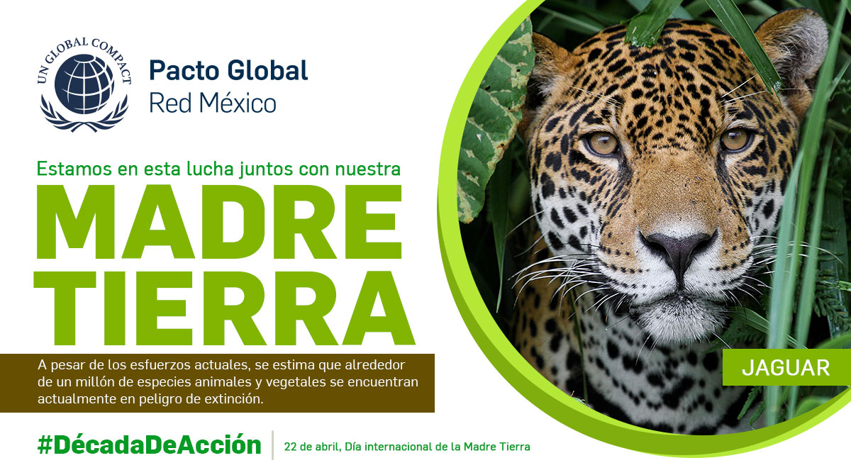 Día Internacional de la Madre Tierra