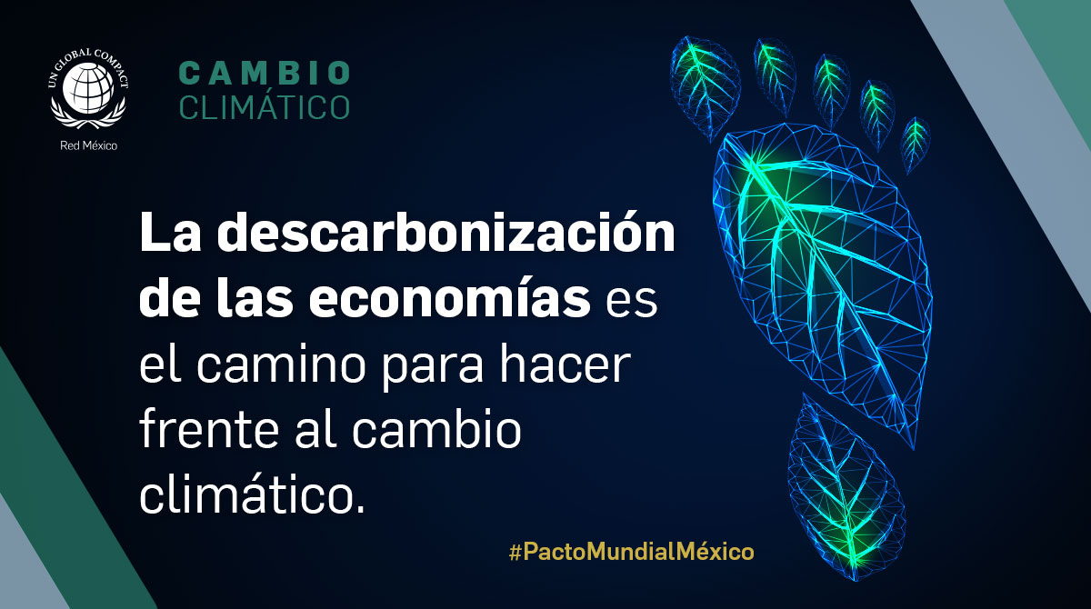 Descarbonización de las economías